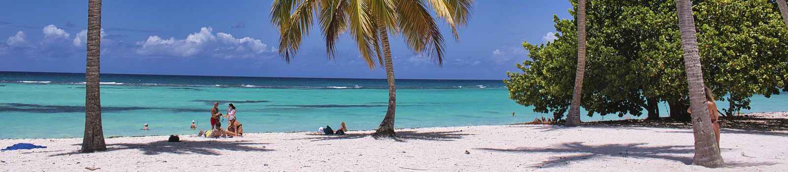 Strand met palmbomen